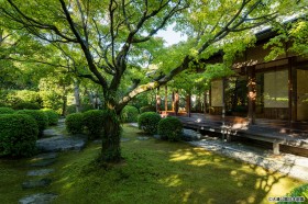 茶会館前庭・外観の写真